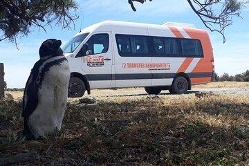 Transfer Trelew Airport to Puerto Madryn City