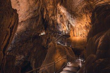 Hastings Caves, Tahune and Huon Valley Full Day Tour from Hobart