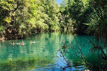 Berry Springs Nature Park + Jumping Crocodile Cruise