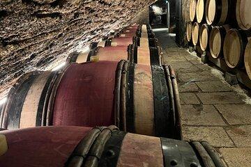 Burgundy Cote de Nuits Private Tour Tastings from Beaune or Dijon