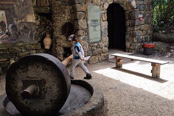 Private Olive Oil and Wine Tasting from Golan and Galilee