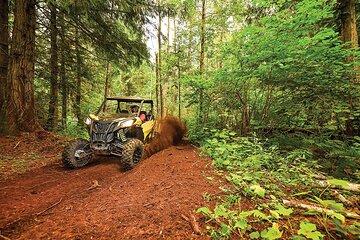 Off-road UTV Tour: Explore Puerto Rico Minutes from San Juan