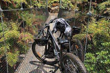Two Day Bike Hire in Ongarue
