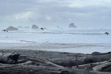 Private Adventure Awaits on the North Coast! (up to 3 travelers)