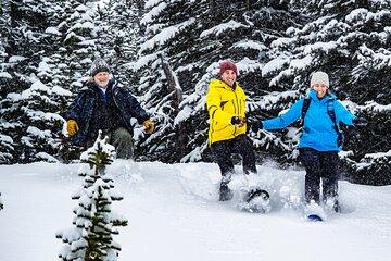 Canadian Rockies Helicopter & Snowshoe Adventure