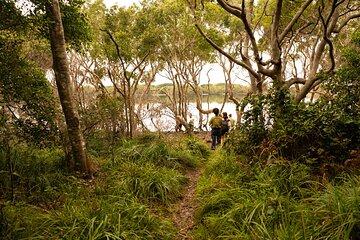 Coastal Nature and Waterfall Experience