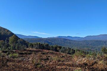 Mersey Forest Journey: E-Biking in the Tasmanian Woods