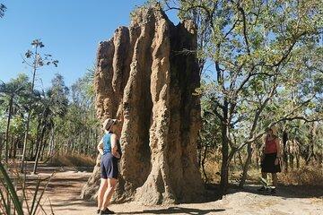 Litchfield National Park Small Group Fun Day Tour From Darwin