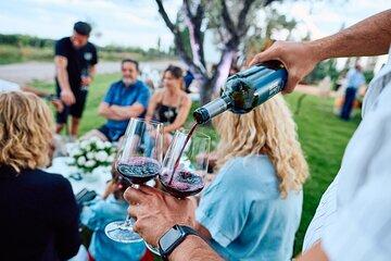 Private Wine Tasting in the Vineyards Facing the Andes