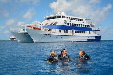 4 Days 3 Nights Liveaboard on Cruise Great Barrier Reef Cairns