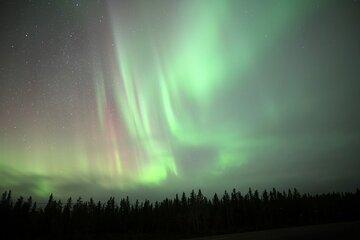 Aurora Tour by Bus in Yellowknife NWT Canada