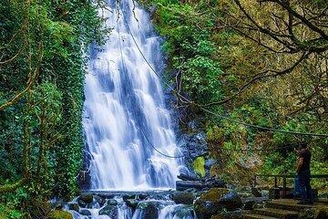 Secret Waterfall Paradise: Private Day Tour from Batumi
