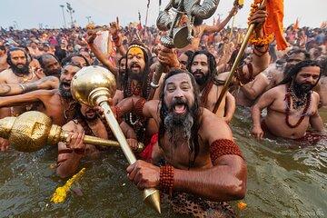 3 Nights - Luxury tented accommodation in Maha Kumbh Mela
