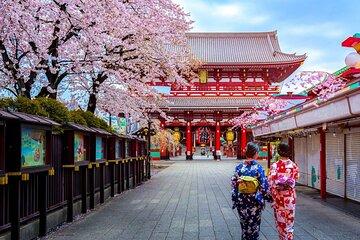 2 Day Package Tour including Narita Airport Pickup