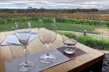 Adelaide Japanese Group Winery Day Tour in Barossa and Hahndorf