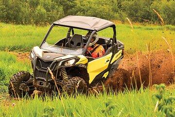 Puerto Rico Offroad 1.5 Hour UTV Experience in San Juan