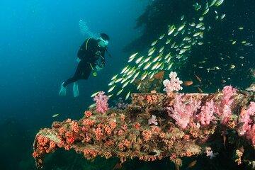Scuba Diving Day Trip at King Cruiser