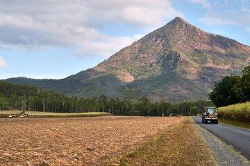 Cairns Explorer Tour