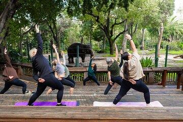 2 Hour Guided Yoga and Walking Tour in Perth Zoo