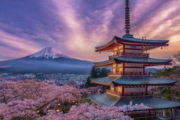 Mount Fuji and Hakone Bus Tour from Tokyo