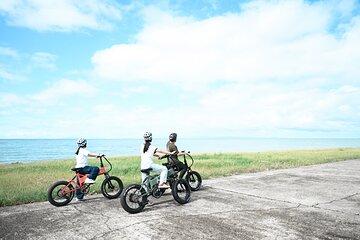 E bike Cycling to Kurobe Gorge