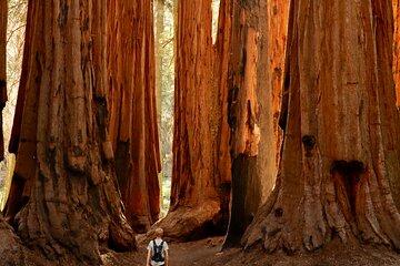 4 Day Tour from San Francisco to Las Vegas Parks and Canyons