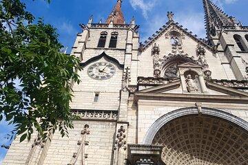 Half-Day Guided Tour in Lyon