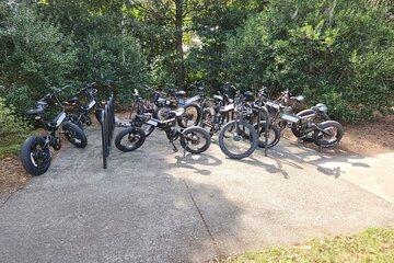 3.5 Hour Guided Olentangy Trail E-Bike Adventure