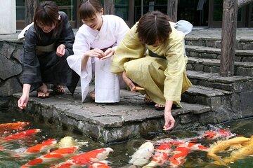 Journey Through Tradition Ojiya Chijimi and Fine Cuisine