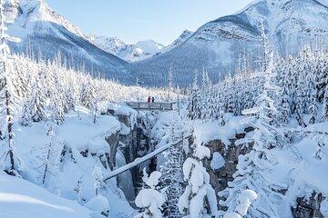 Banff Full Day Canyon and Mountain Lake Private Adventure