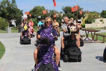 Explore Tampa Green Spaces on a Fun Rydable Adventure