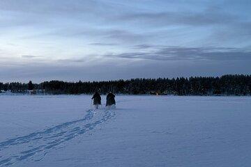 Snowshoeing Adventure in the Wild with Cabin Lunch