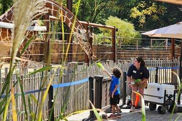 Zoo Atlanta Admission Ticket