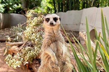 Adelaide Zoo General Admission Tickets