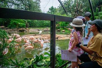 Skip The Line Houston Zoo Admission Ticket