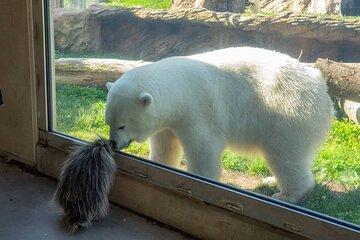Oregon Zoo Admission Ticket