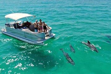 Swimming in a Dolphin and Manatee Lagoon Boat Tour