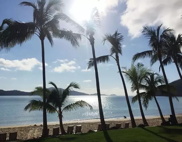 Mango Reef House - Airlie Beach