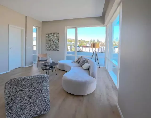 Hofsbot Luxury Penthouse Apartment