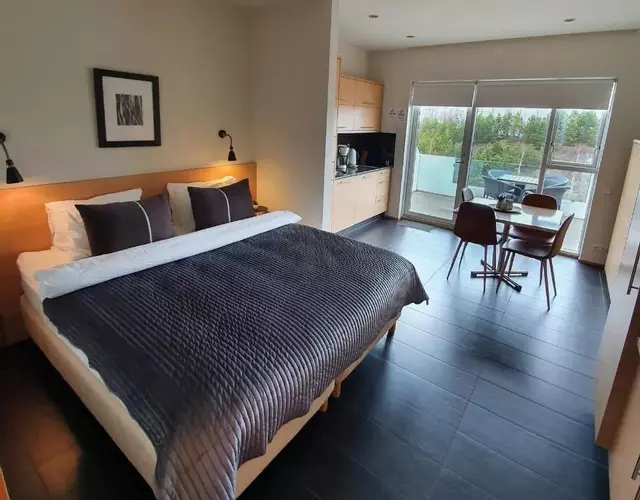 Saeluhus Apartments & Houses