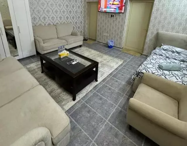 العين الهيلي مصباح ب 11