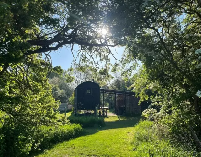 Stompy's Hut