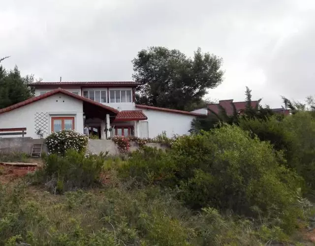 Casa Algarrobo Chile