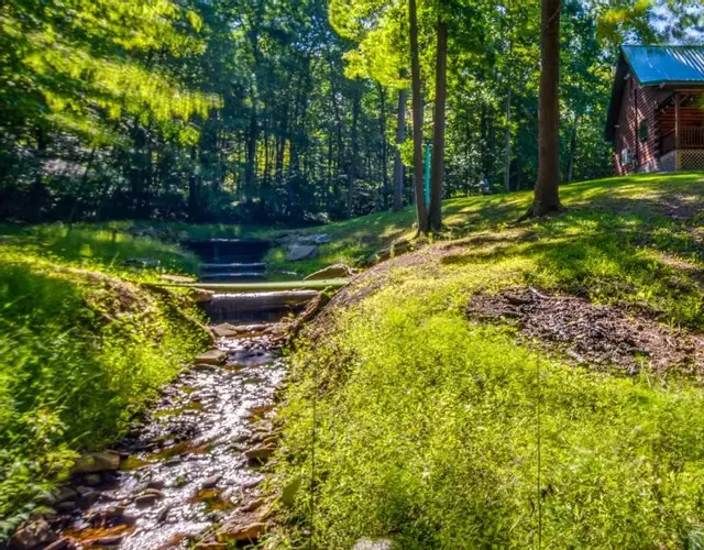Secluded Cabin with On-Site Creek and Trails!