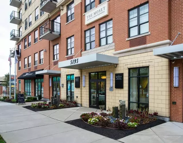 The Mosey Buffalo Williamsville Tapestry Collection Hilton