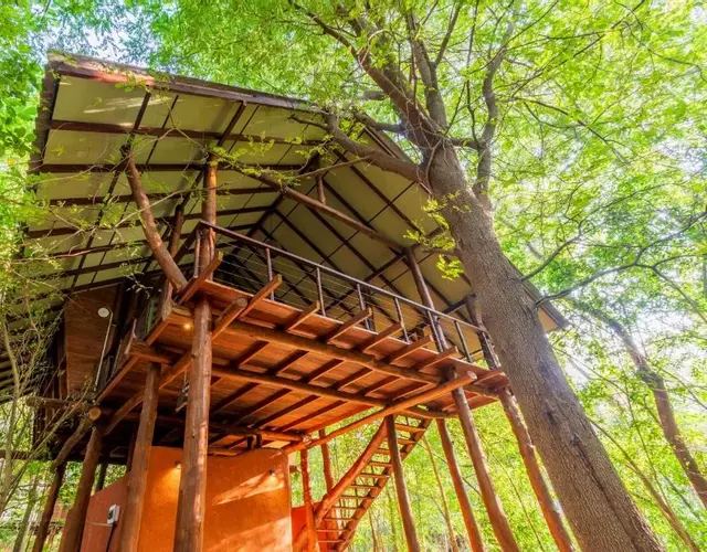 Kaala Kalaththewa Luxury Eco Resort