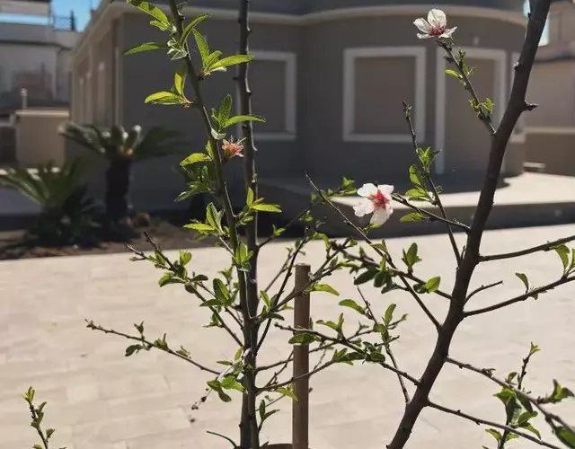 Alloggio Turistico Soffiasale