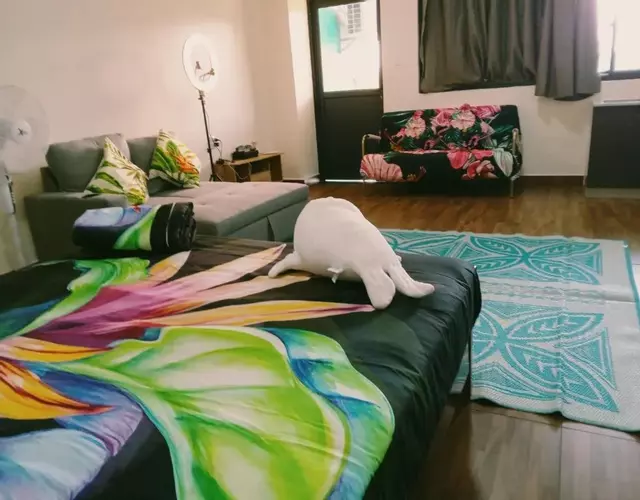 Samoa FINAU 685 Accomodations