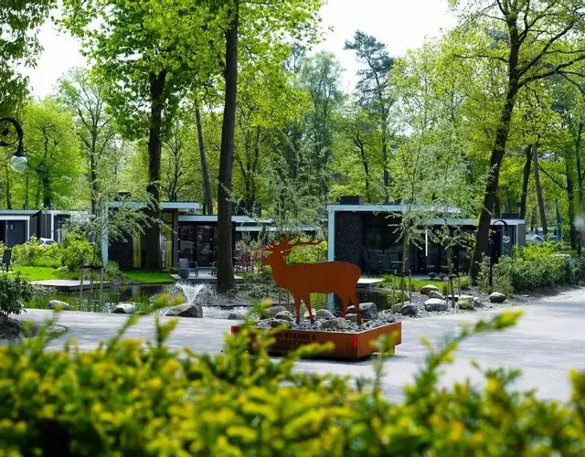 Vakantiepark De Rimboe & De Woeste Hoogte
