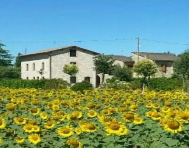 Agriturismo"Il Sagrato di Assisi" appartamenti,camere